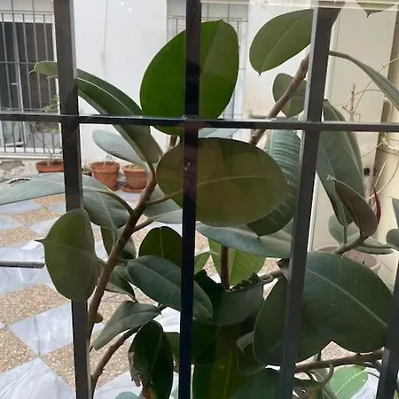 Hoomtur Apartment Seville